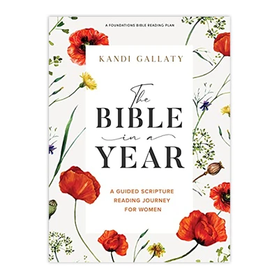 reading plan bible in a year copy